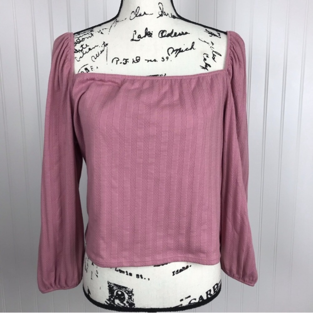 Wild Fable Mauve/Rose Long Sleeve Stretch Crop Top